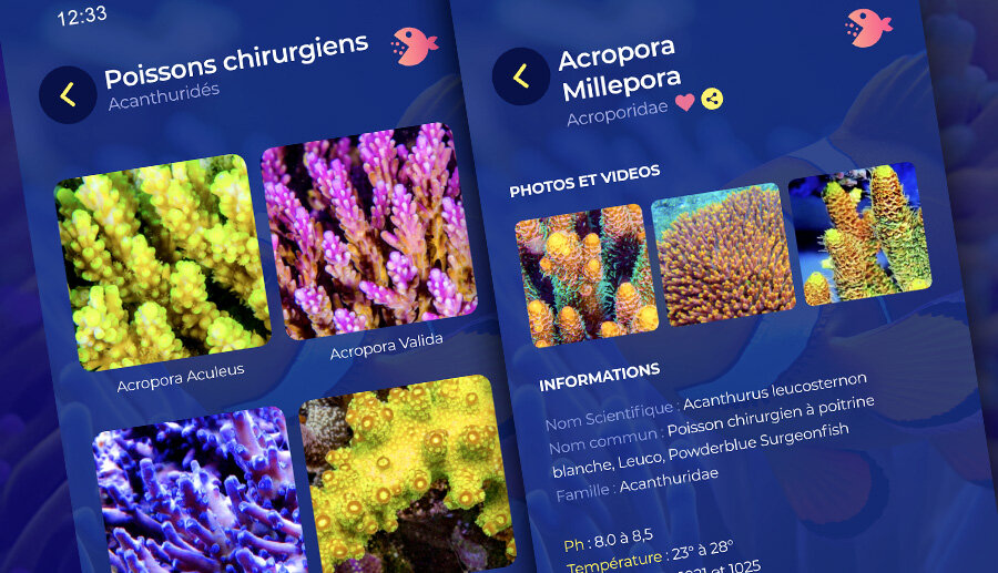 Bien plus qu'une collection